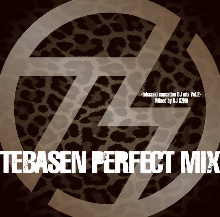 『TEBASEN PERFECT MIX-tebasaki sensation DJ mix Vol.2- Mixed by DJ SZNA』ジャケット