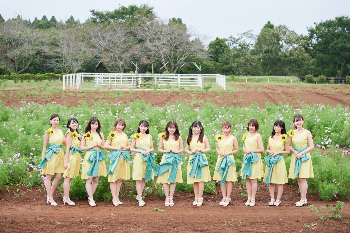 📸 画像:ひまプリ畑と向日葵プリンセス|向日葵プリンセス、成田ゆめ牧場でデビュー曲「向日葵の帰り道」初披露+向日葵の開花を発表!