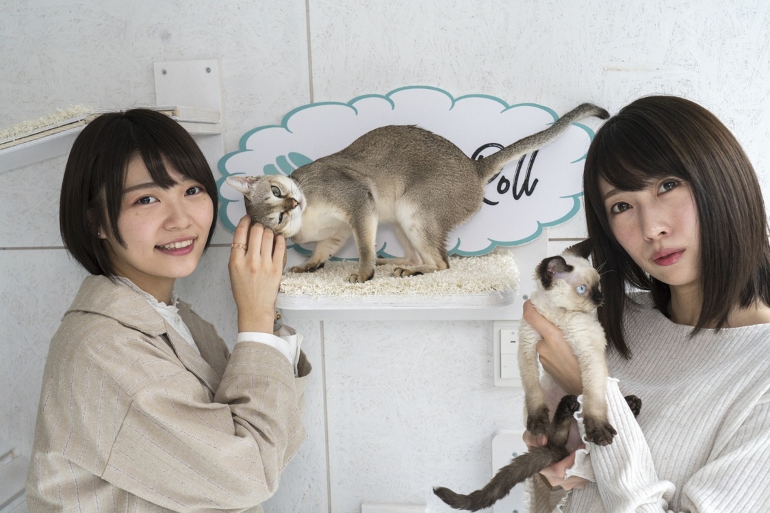 HARUKA、権田夏海