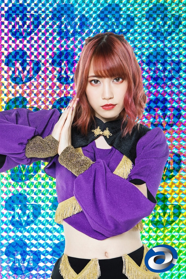 豆柴の大群 カエデフェニックス