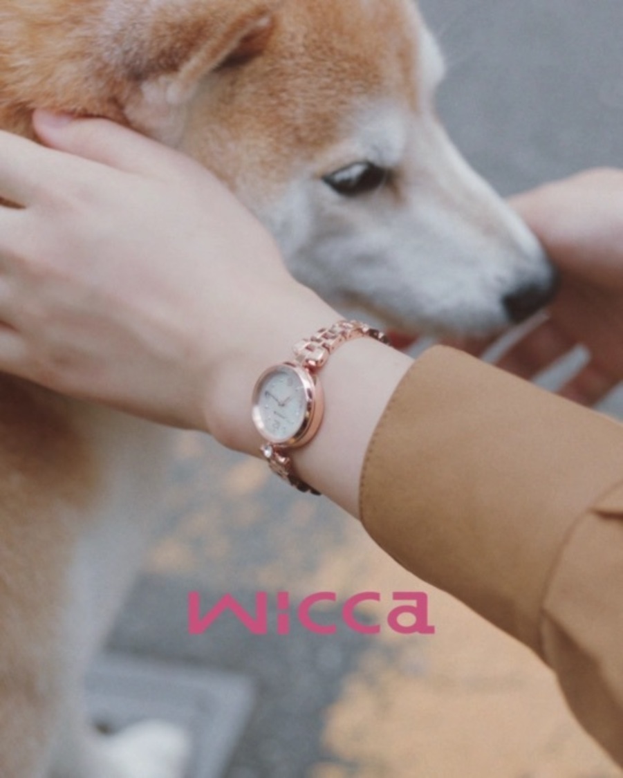 『新しい家族』より