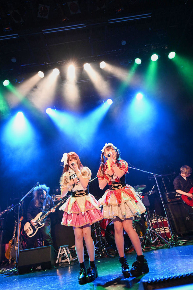 ＜HOT DOG CATワンマンライブ『進め！進め！進め！』＞（10月14日（水）渋谷WWW）