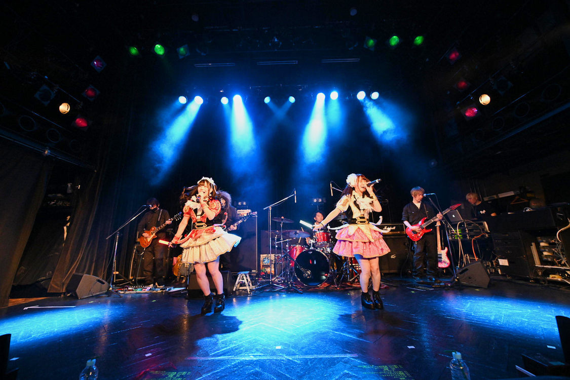 ＜HOT DOG CATワンマンライブ『進め！進め！進め！』＞（10月14日（水）渋谷WWW）