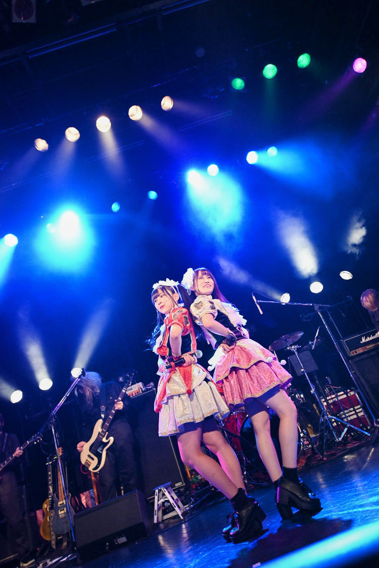 ＜HOT DOG CATワンマンライブ『進め！進め！進め！』＞（10月14日（水）渋谷WWW）