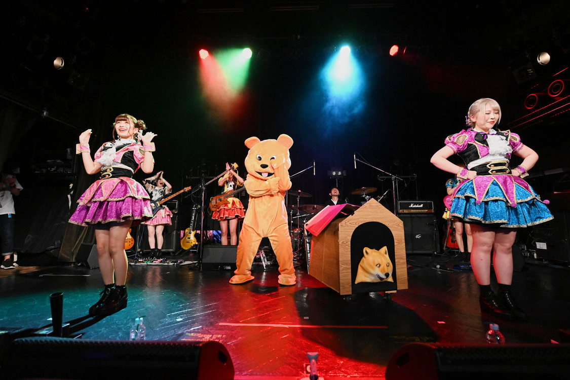 ＜HOT DOG CATワンマンライブ『進め！進め！進め！』＞（10月14日（水）渋谷WWW）