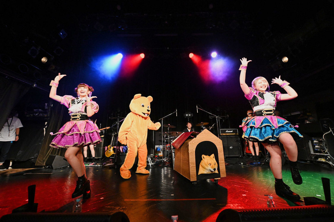 ＜HOT DOG CATワンマンライブ『進め！進め！進め！』＞（10月14日（水）渋谷WWW）