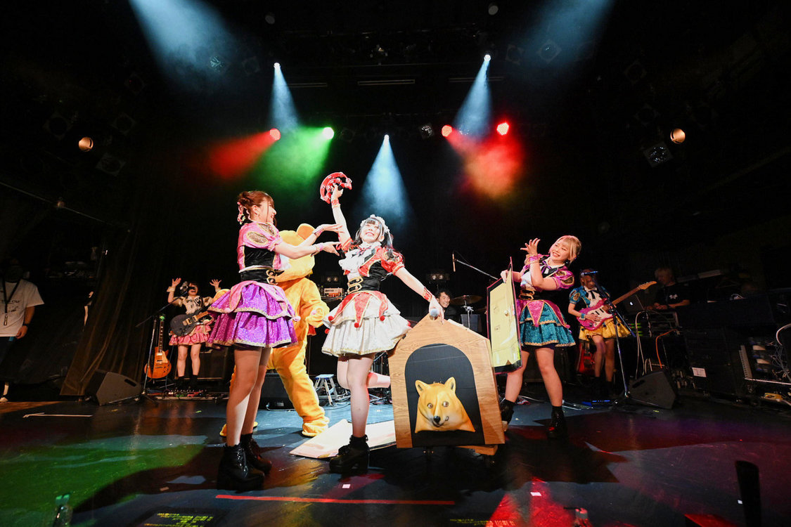 ＜HOT DOG CATワンマンライブ『進め！進め！進め！』＞（10月14日（水）渋谷WWW）