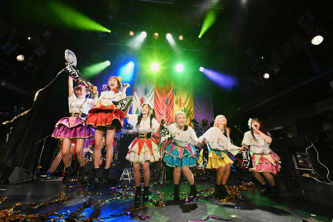 ＜HOT DOG CATワンマンライブ『進め！進め！進め！』＞（10月14日（水）渋谷WWW）