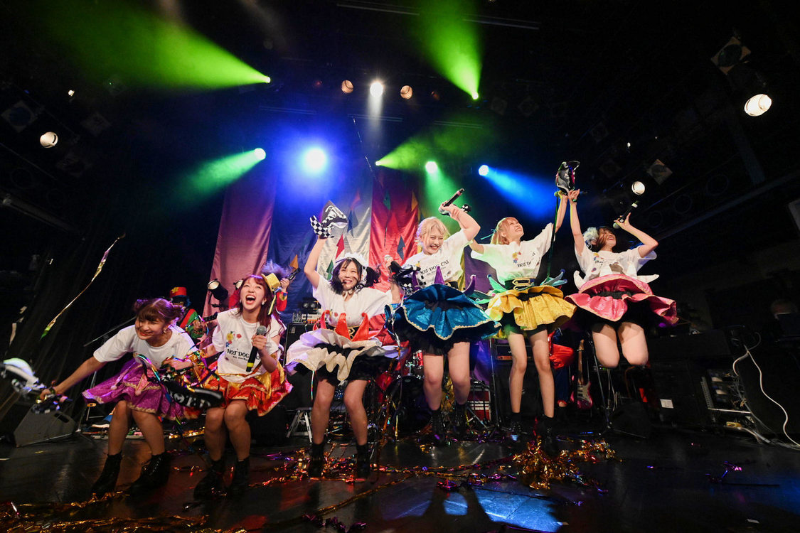 ＜HOT DOG CATワンマンライブ『進め！進め！進め！』＞（10月14日（水）渋谷WWW）