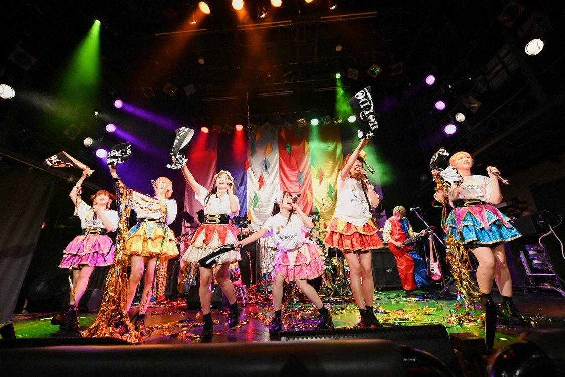 ＜HOT DOG CATワンマンライブ『進め！進め！進め！』＞（10月14日（水）渋谷WWW）