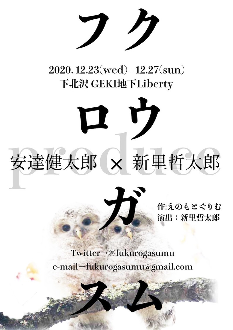 舞台＜フクロウガスム＞