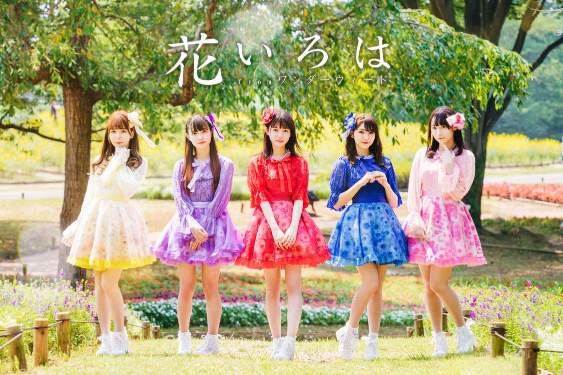 花いろは fromワンダーウィード