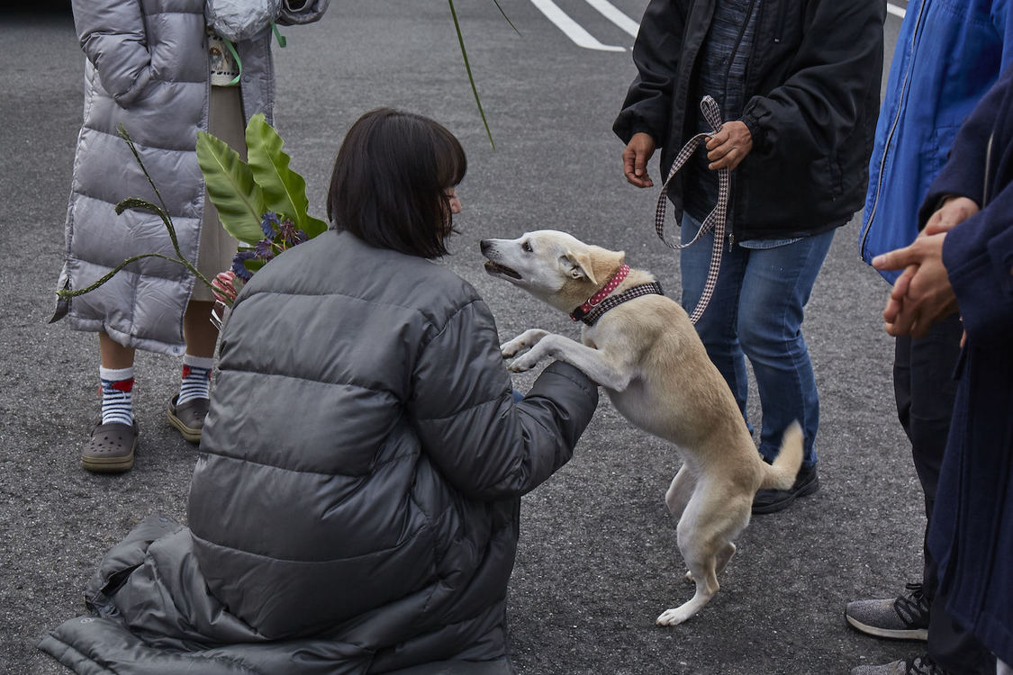 メイキングカット　©⻄加奈⼦／⼩学館 ©2020「さくら」製作委員会