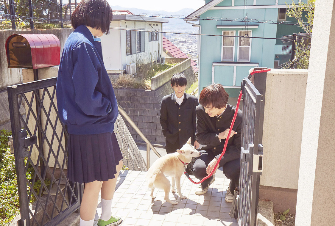 場面写真　©⻄加奈⼦／⼩学館 ©2020「さくら」製作委員会