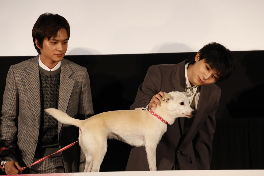 映画『さくら』公開記念舞台挨拶