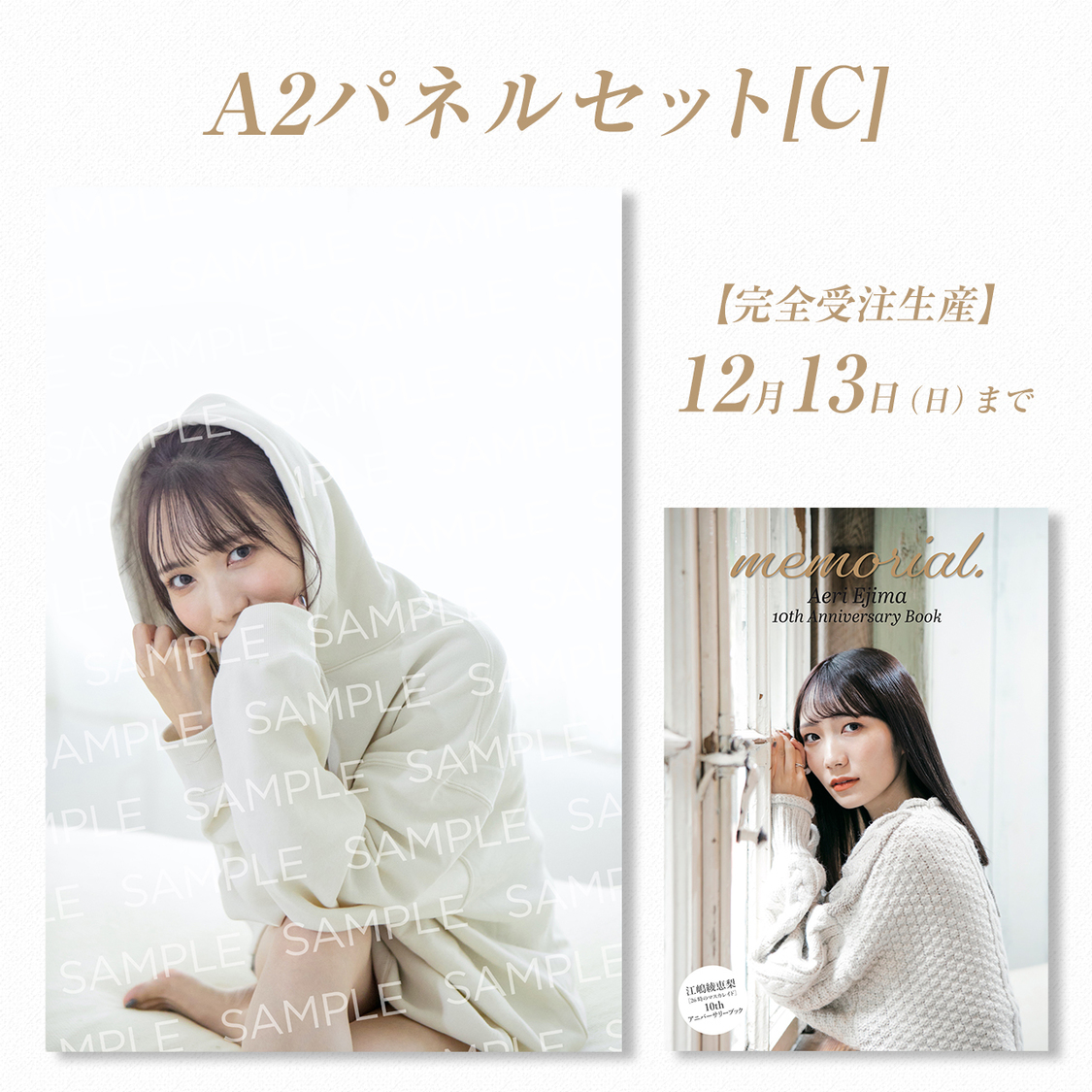 【受注販売】Aeri Ejima 10th Anniversary Book『memorial.』／江嶋綾恵梨（26時のマスカレイド）10thアニバーサリーブック＋A2パネル Type A（書籍＋A2パネルセットType C）