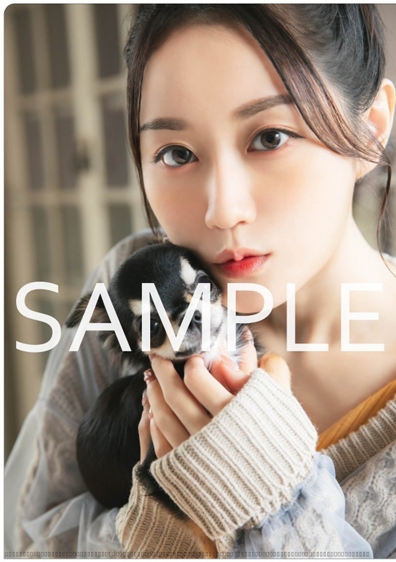 アニメイト特典クリアファイル