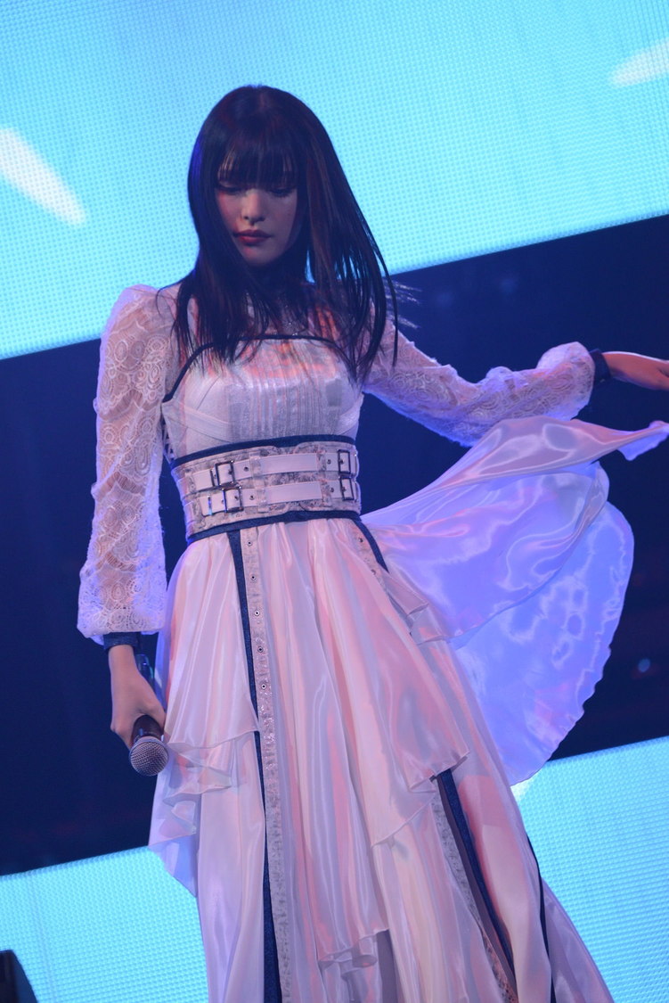 ⓒSony Music AnimeSongs ONLINE 日本武道館