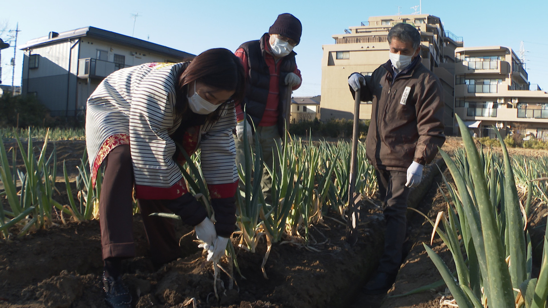 『週末ハッピーライフ！お江戸に恋して』より