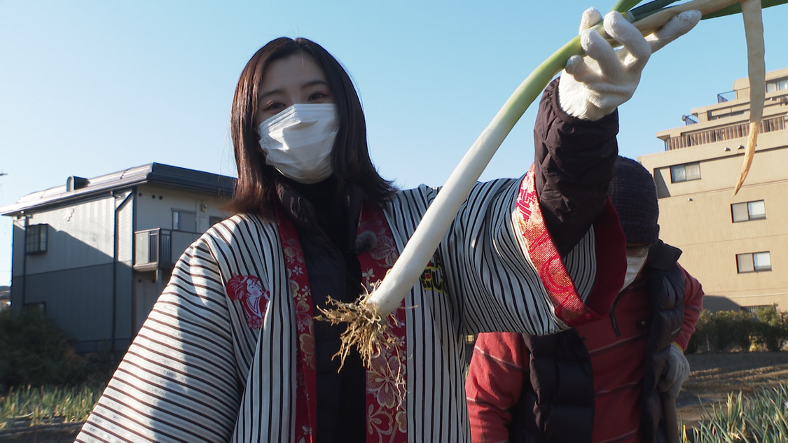 『週末ハッピーライフ！お江戸に恋して』より