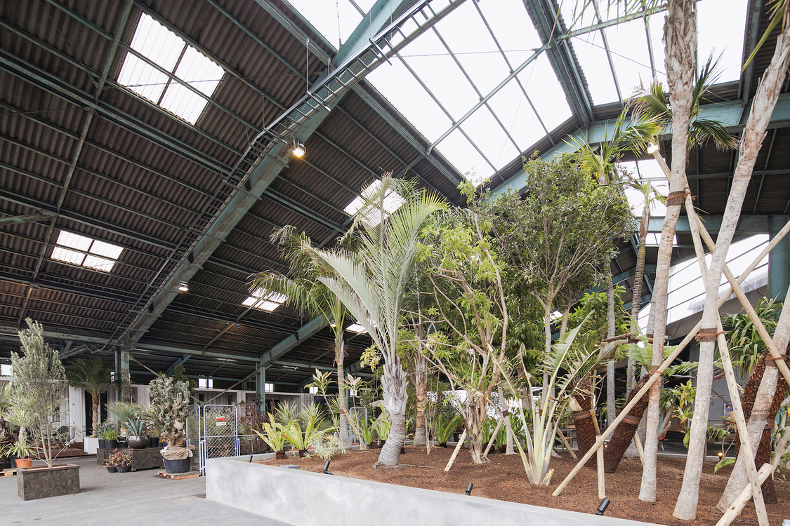 作品掲載場所『n-BASEMENT』