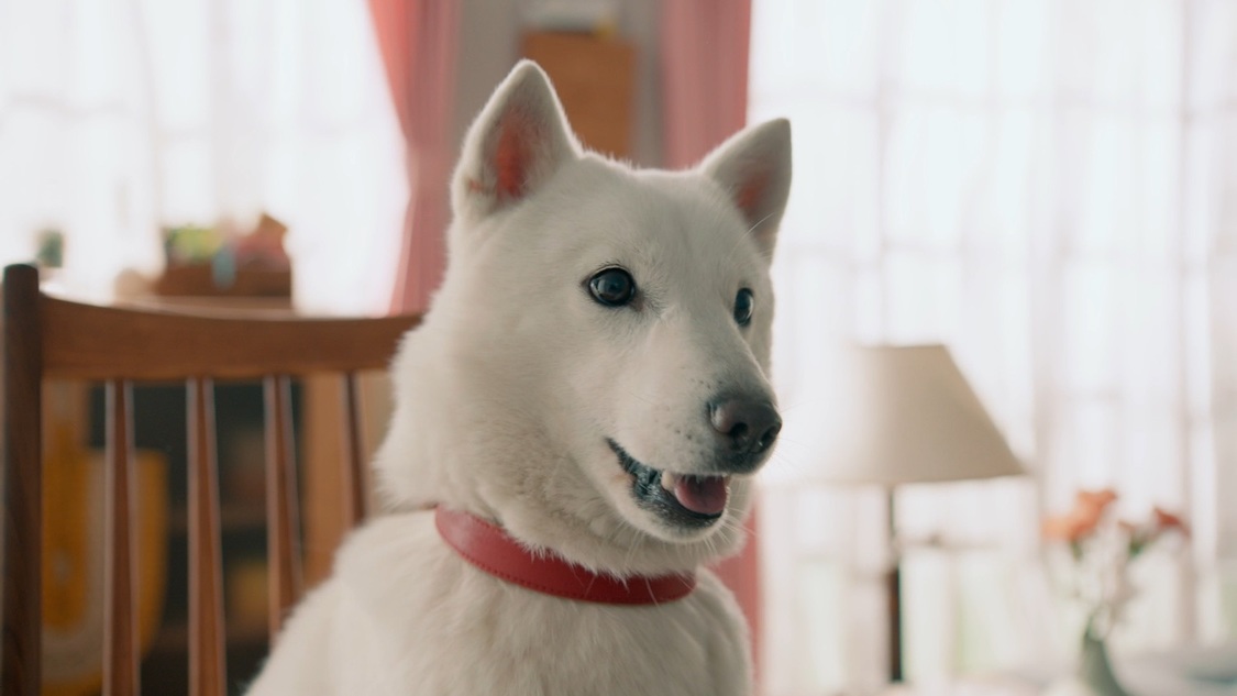 新テレビCM「NiziUを楽しみつくそう」篇より