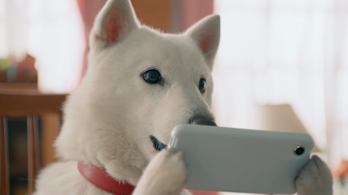 新テレビCM「NiziUを楽しみつくそう」篇より