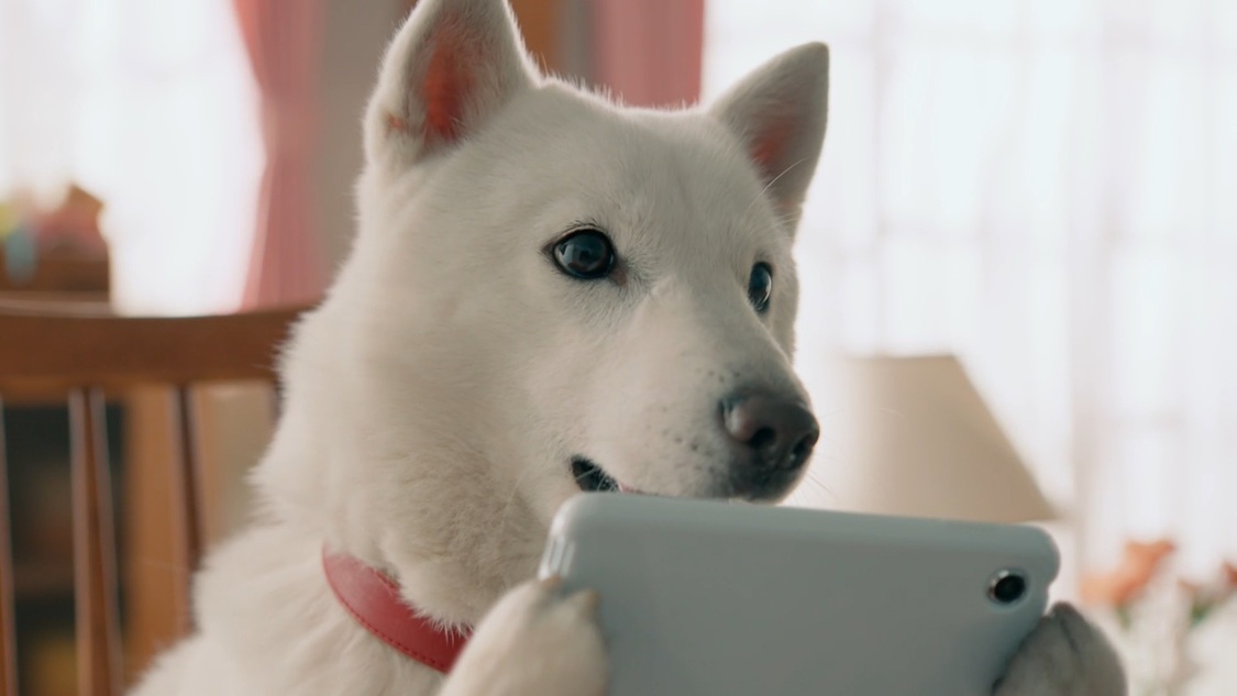 新テレビCM「NiziUを楽しみつくそう」篇より