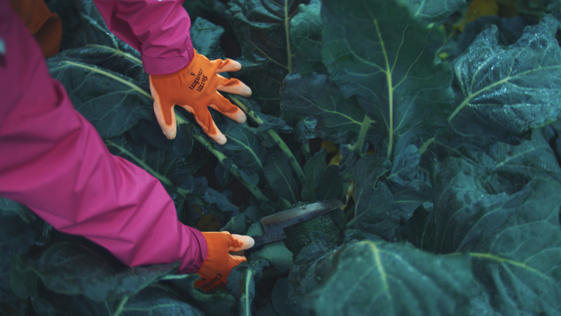 『パラレルノーカーはじまっています篇』メイキングカット