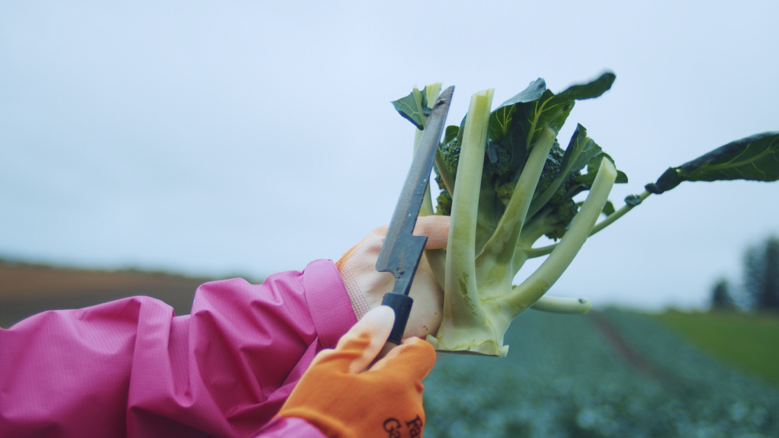 『パラレルノーカーはじまっています篇』メイキングカット