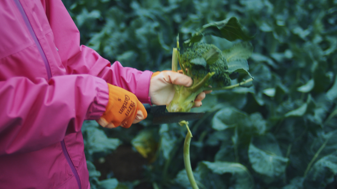 『パラレルノーカーはじまっています篇』メイキングカット
