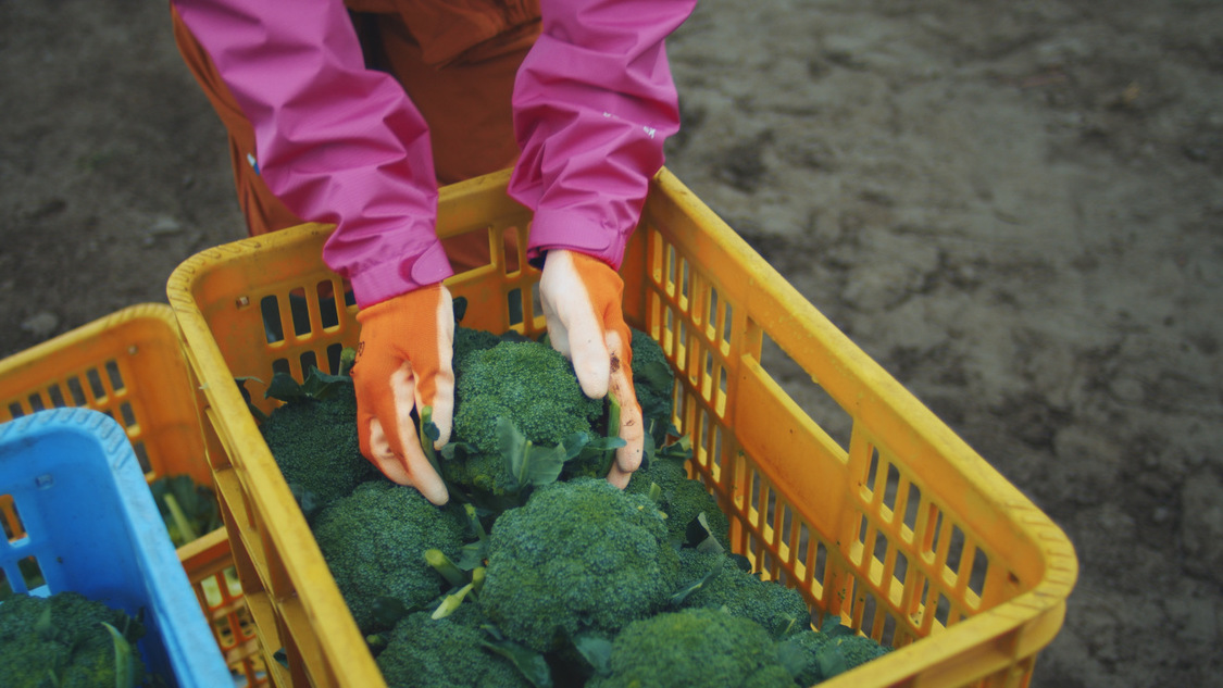 『パラレルノーカーはじまっています篇』メイキングカット