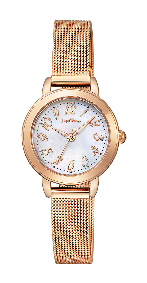 TT25P-PK 替えベルト