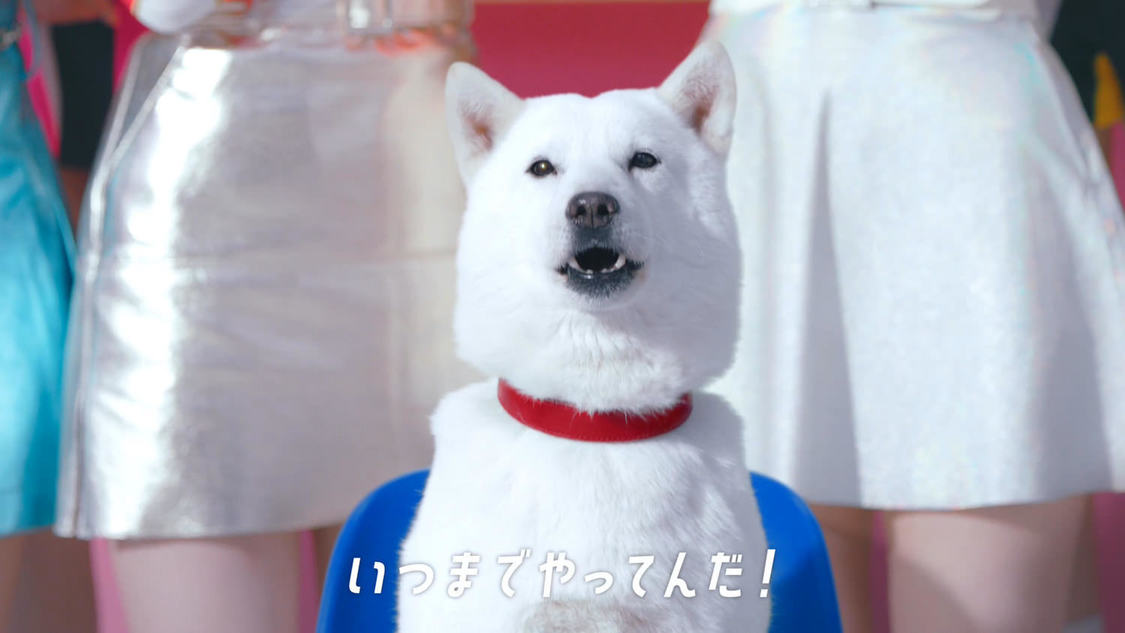 NiziU「ゲームの次はなにするの？」篇より