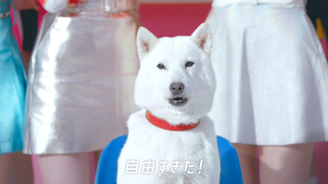 NiziU「ゲームの次はなにするの？」篇より