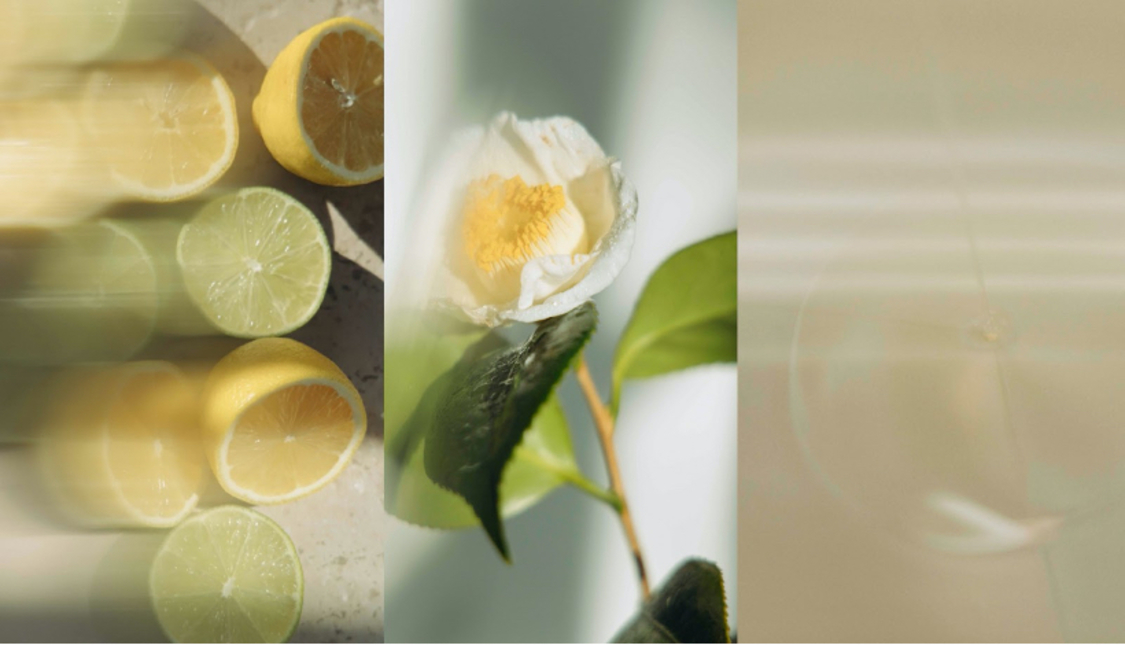 「SENSUAL RICH BODY BALM」