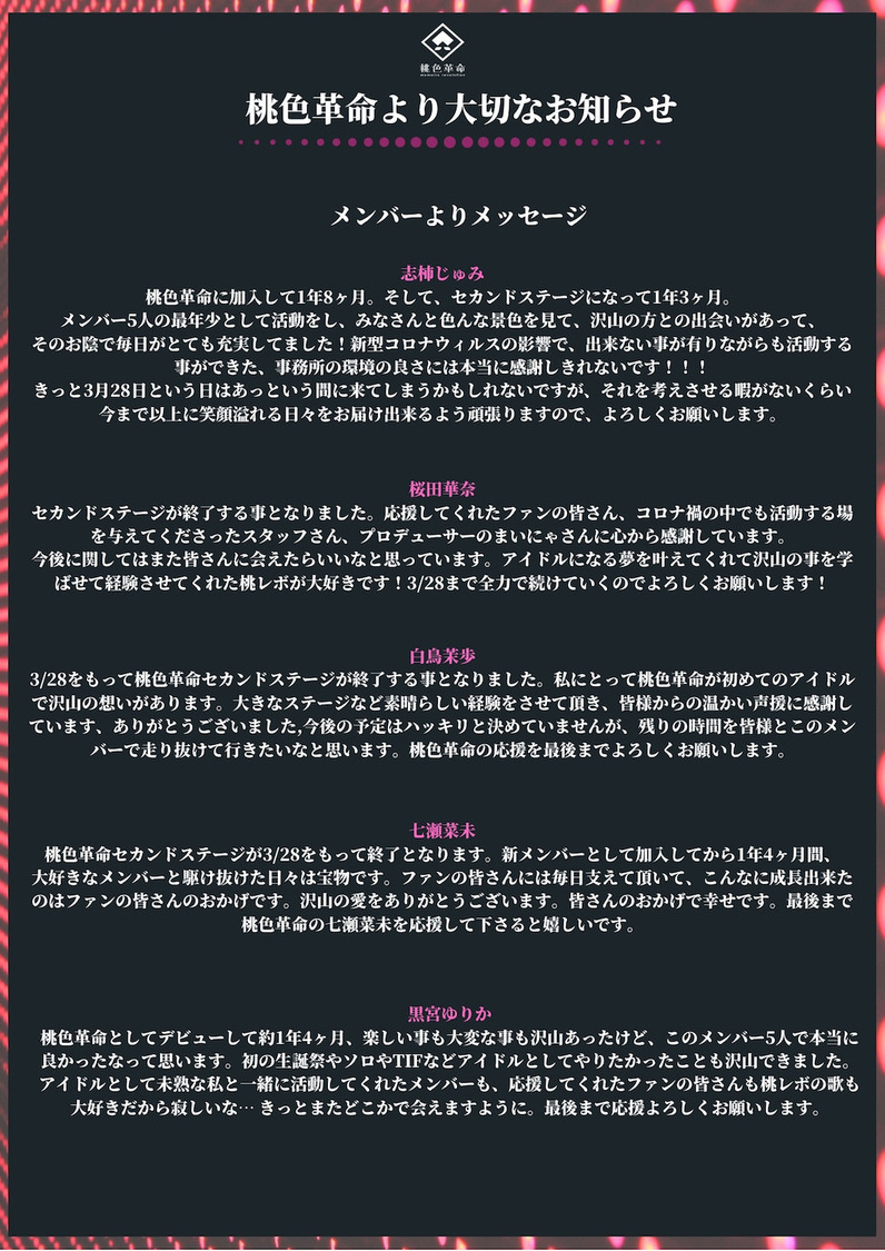 メンバーコメント