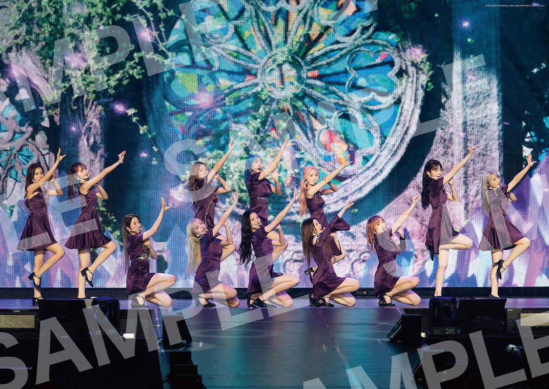 DVD初回限定盤豪華BOXケース封入B3ポスター（©OFF THE RECORD）