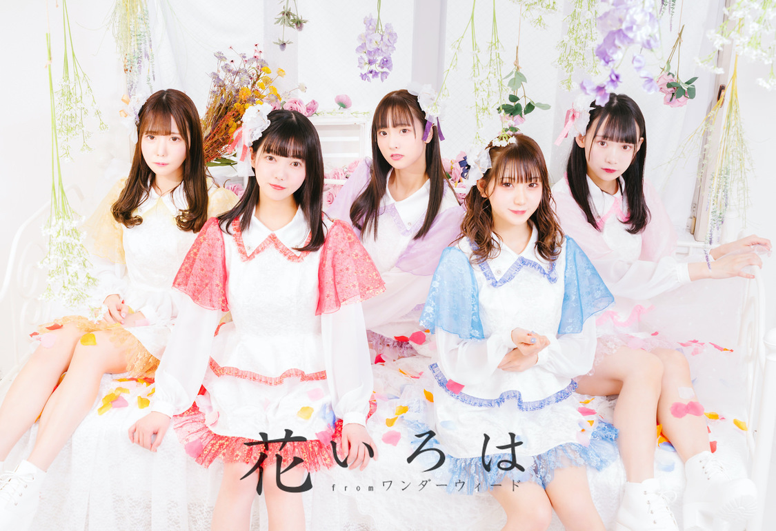 花いろは from ワンダーウィード