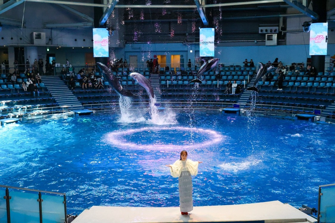 ももいろクローバーZ、アクアパーク品川とのコラボ開始！百田夏菜子がイルカと共演